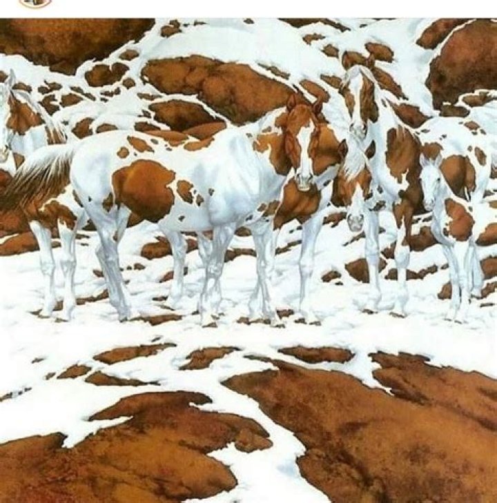 Bev Doolittle