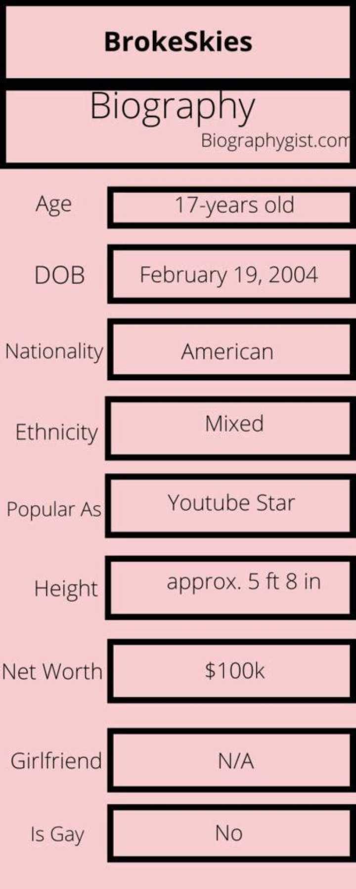 BrokeSkies Biography Infographic