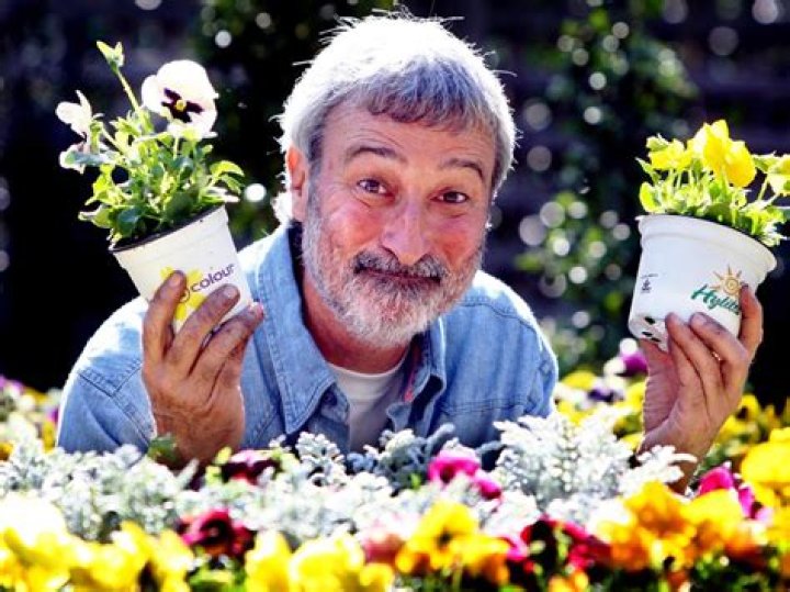 Don Burke