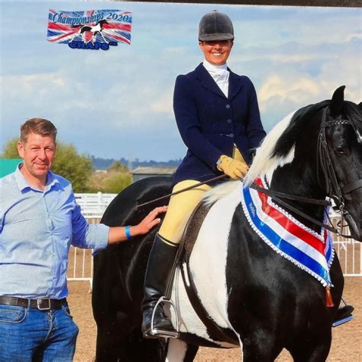 Equestrian Craig