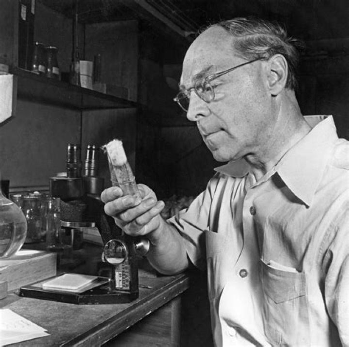 Hermann Joseph Muller