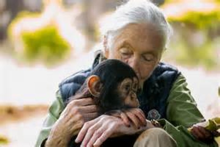 Jane Goodall age