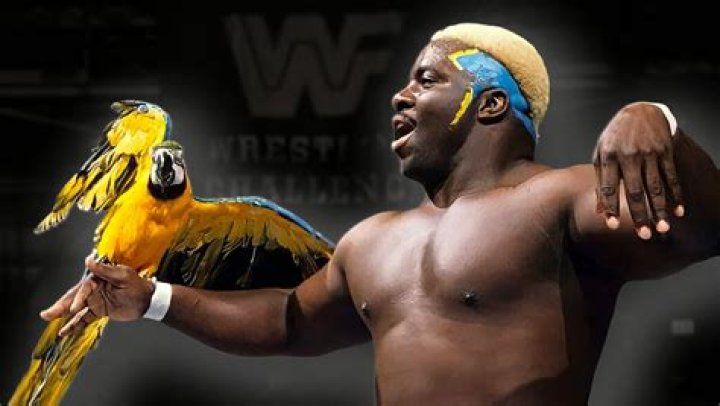Koko B. Ware
