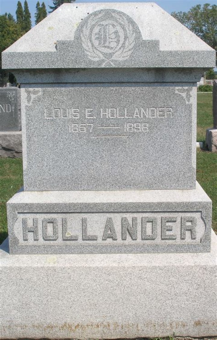 Lewis E. Hollander Jr.