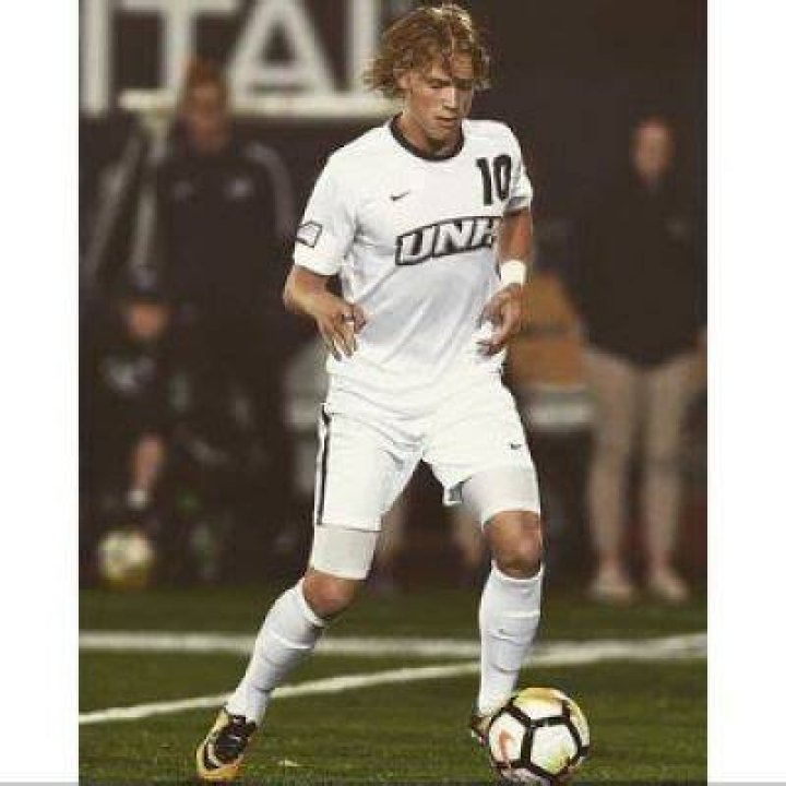linus fallberg career