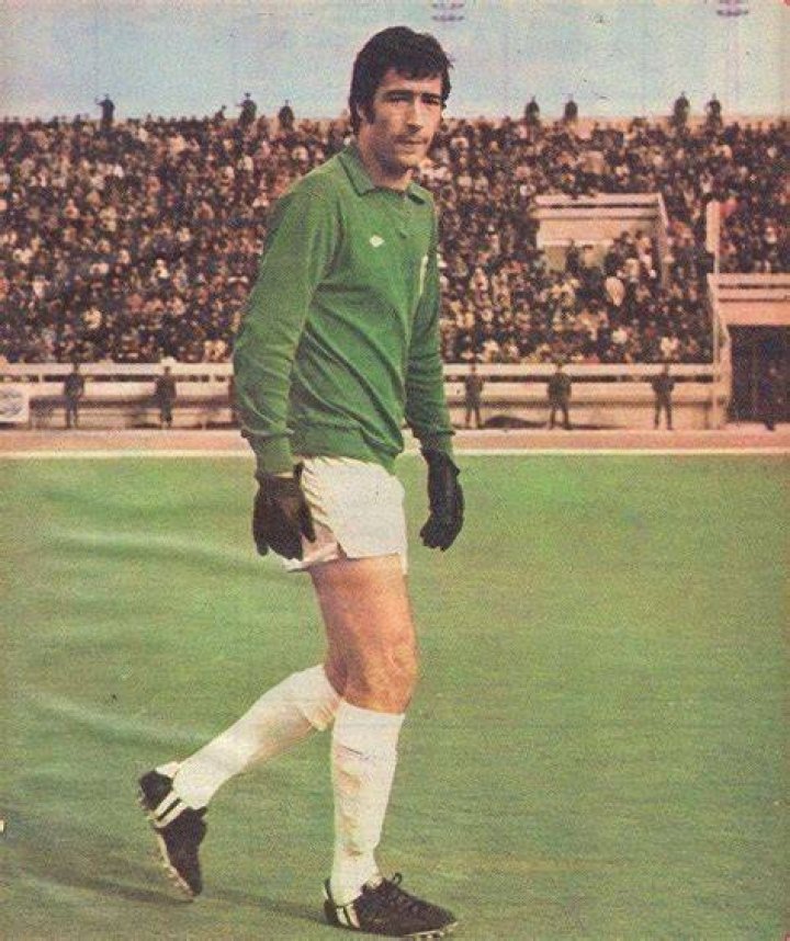 Nasser Hejazi