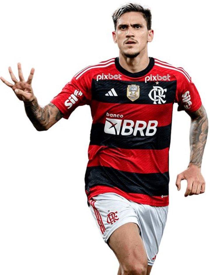 Pedro Guilherme