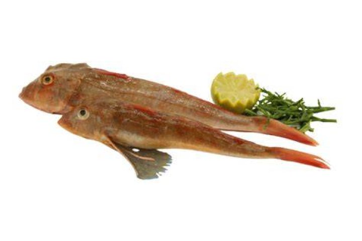 Poon Chi-fai