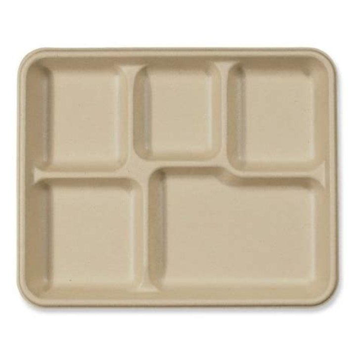 Schoollunchtray