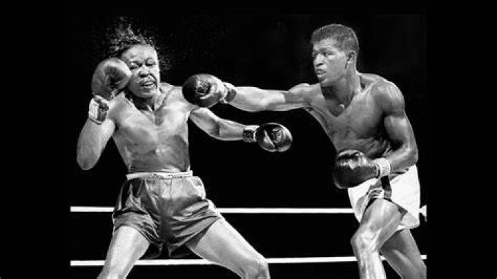 Sugar Ray Robinson