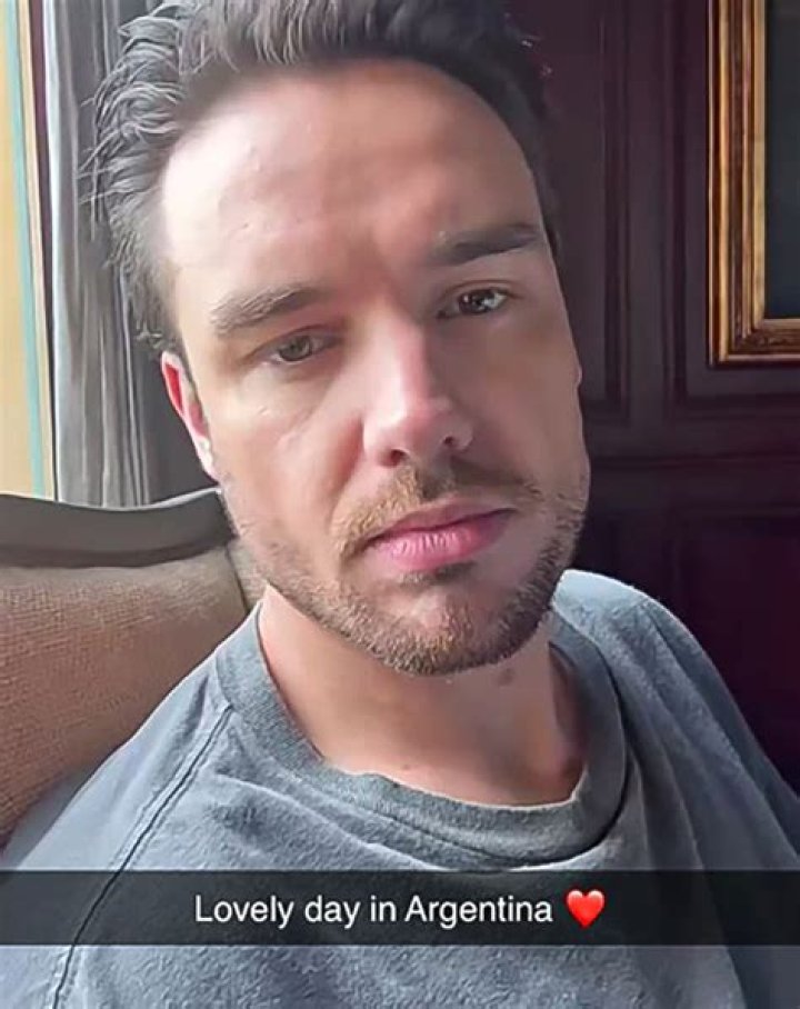 The Lovely Liam Payne's Most Relatable Tweets 1
