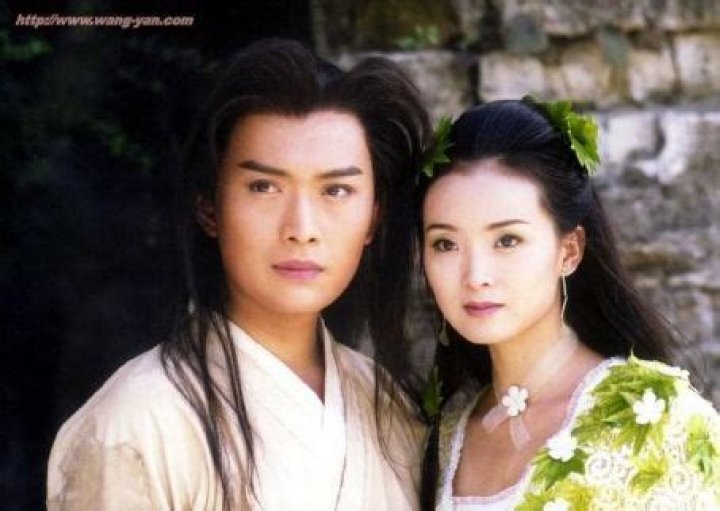 Wang Zhicai, Wang Yan's Husband